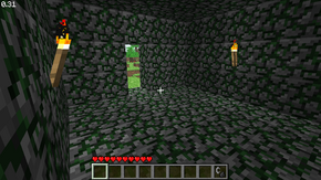 Indev 0.31 20100130.png